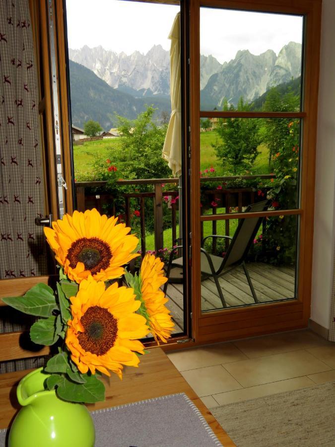 Appartements Gosaukamm.Com Zewnętrze zdjęcie