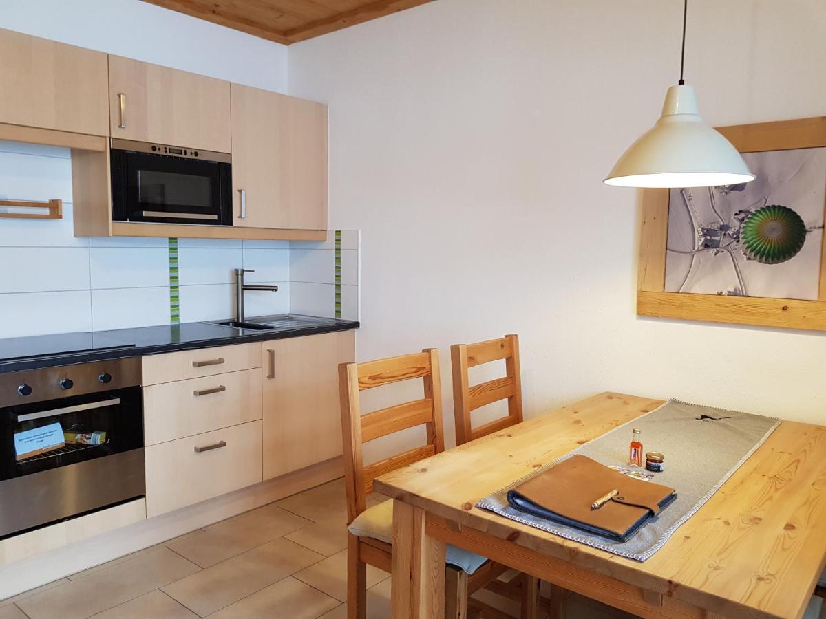Appartements Gosaukamm.Com Zewnętrze zdjęcie