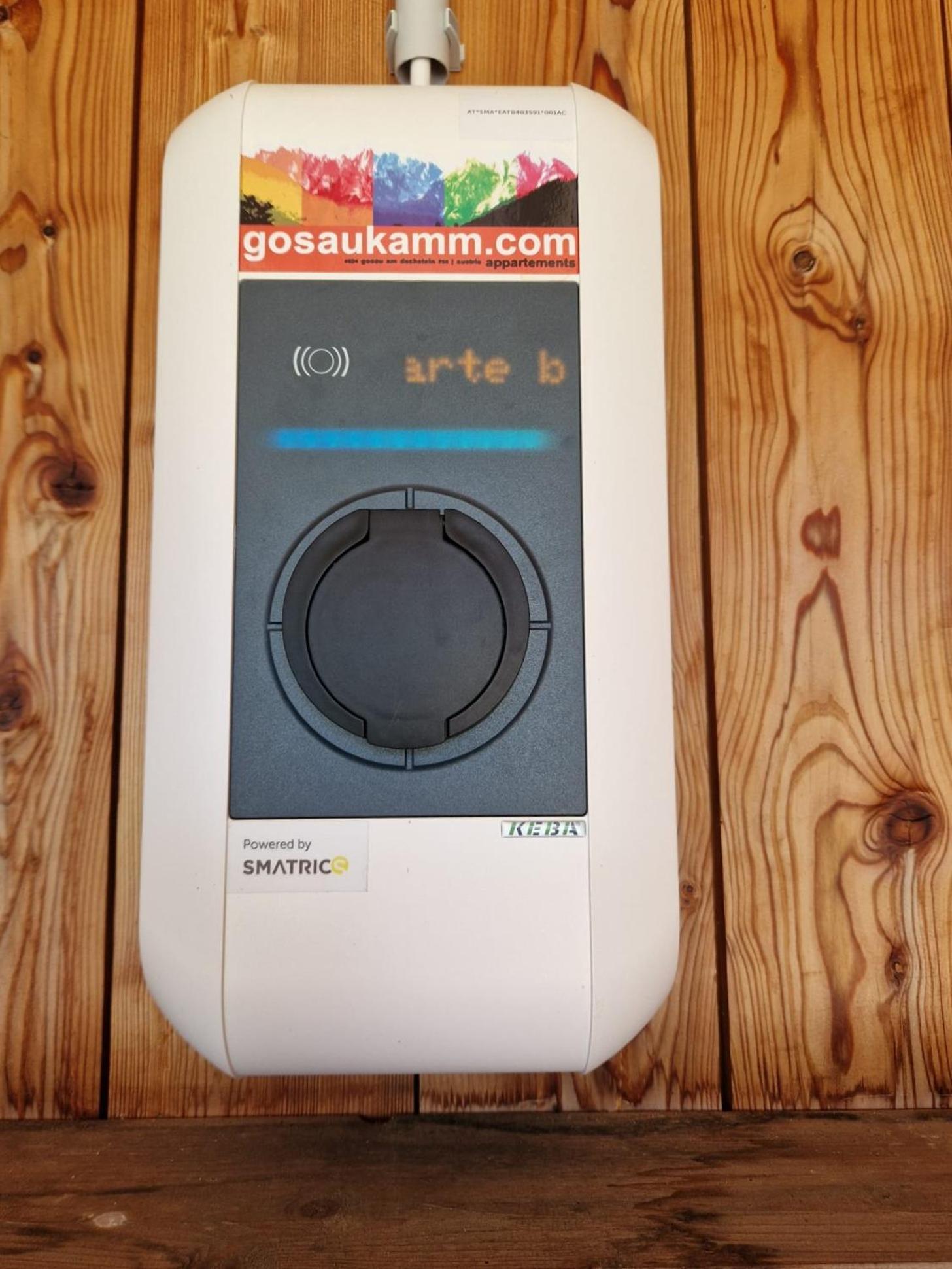 Appartements Gosaukamm.Com Zewnętrze zdjęcie