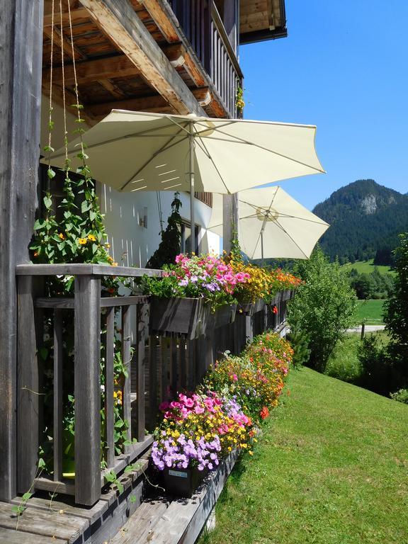 Appartements Gosaukamm.Com Zewnętrze zdjęcie