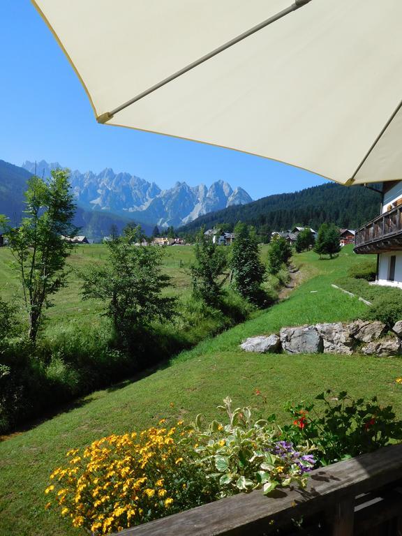 Appartements Gosaukamm.Com Zewnętrze zdjęcie